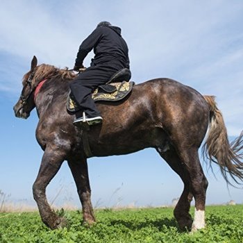 Сүгірдің термесі - Ғабит Қосай